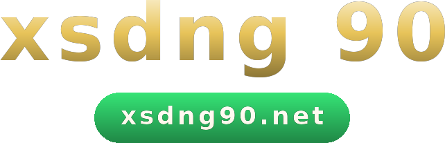 xsdng 90 logo